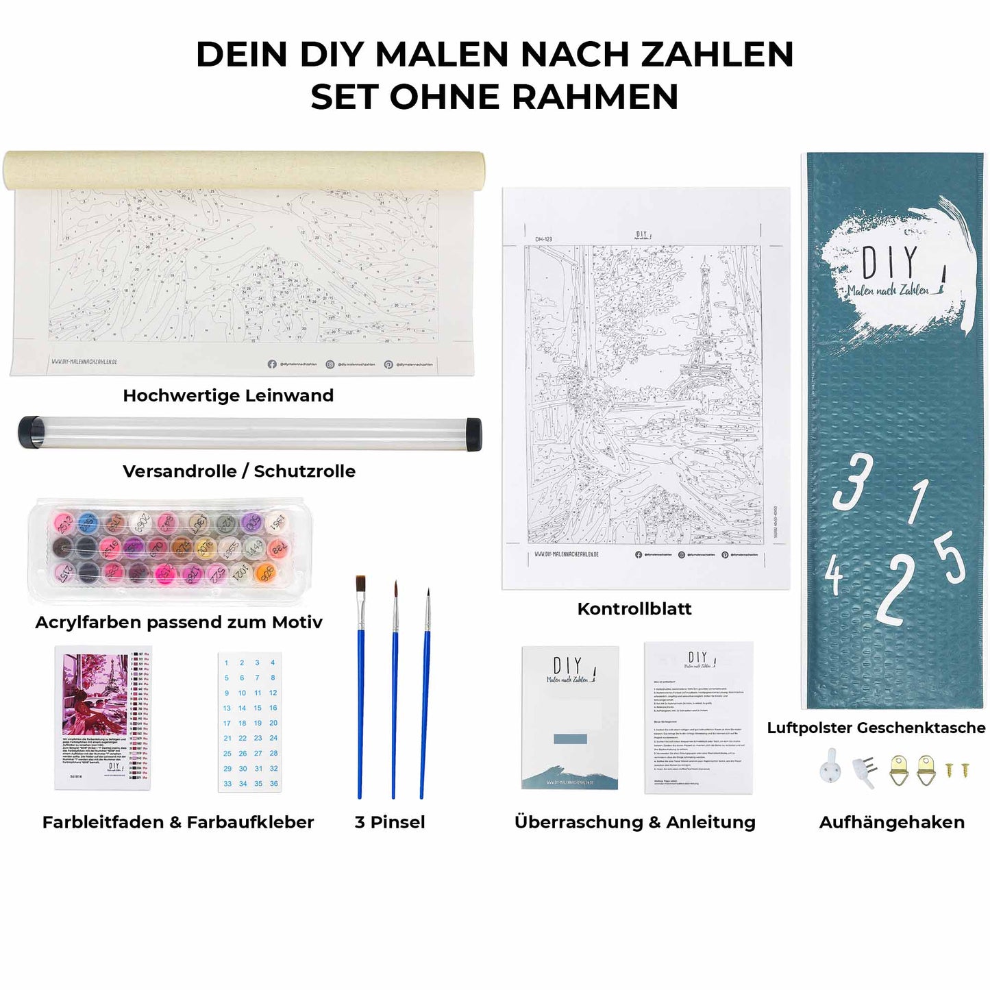 Lion Paint by Numbers