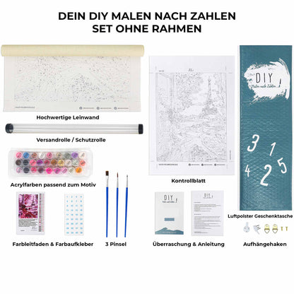 Lion Paint by Numbers