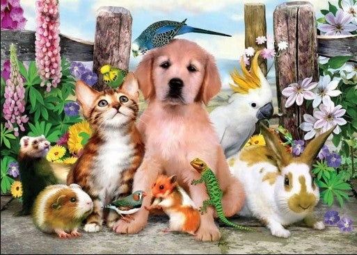 Pet Paint by Numbers