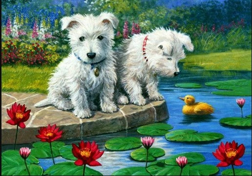 Two Puppies by the River Paint by Numbers