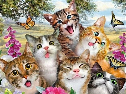 Six chatons Peinture par numéros