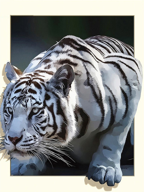 Tigre blanc Peinture par numéros