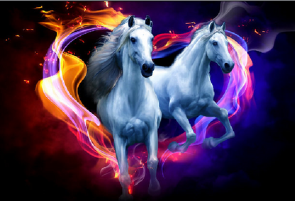Cheval blanc Peinture par numéros
