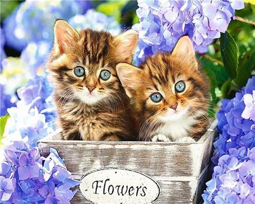 Chat au panier de fleurs  Peinture par numéros