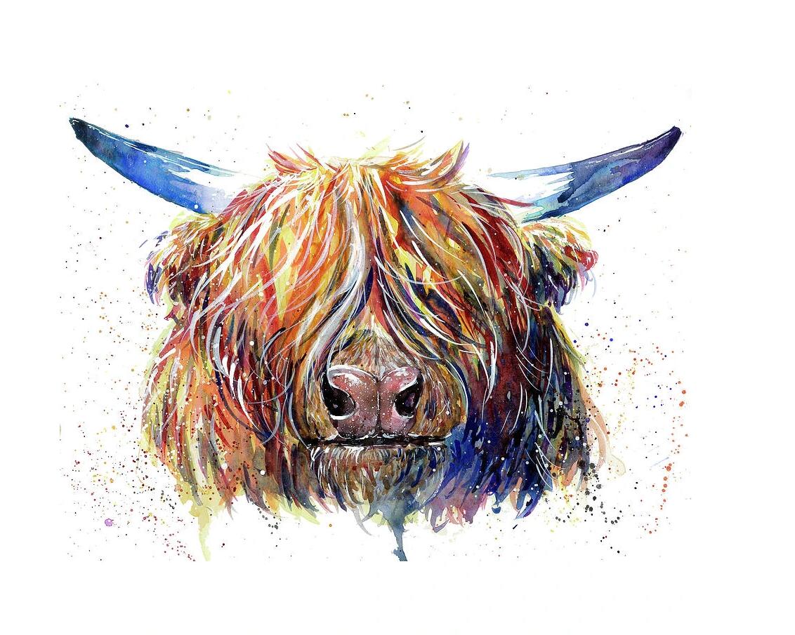 Tête de taureau colorée Peinture par numéros