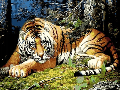 Lying Tiger Paint by Numbers
