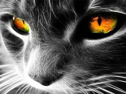 Grey Cat EyesPaint by Numbers