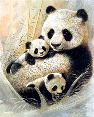 Giant Panda Paint by Numbers