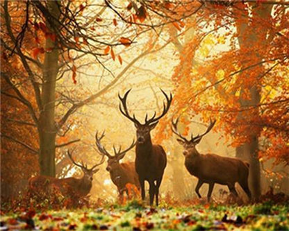 Sika cerf Peinture par numéros