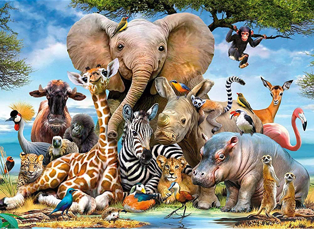 Zoo Paint by Numbers