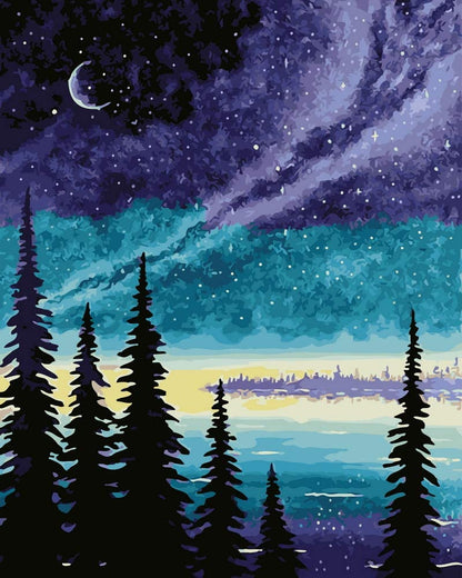 Ciel étoilé dans la forêt Peinture par numéros