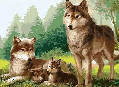 Loup-chien  Peinture par numéros