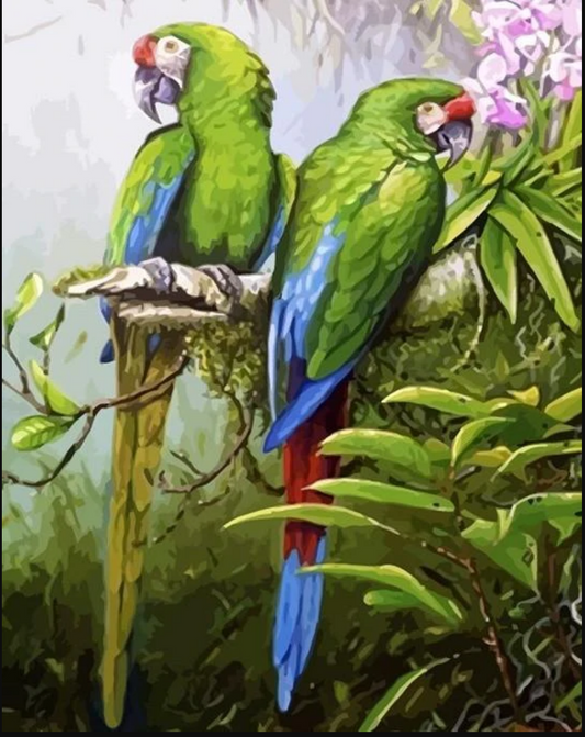 Oiseau bleu  Peinture par numéros