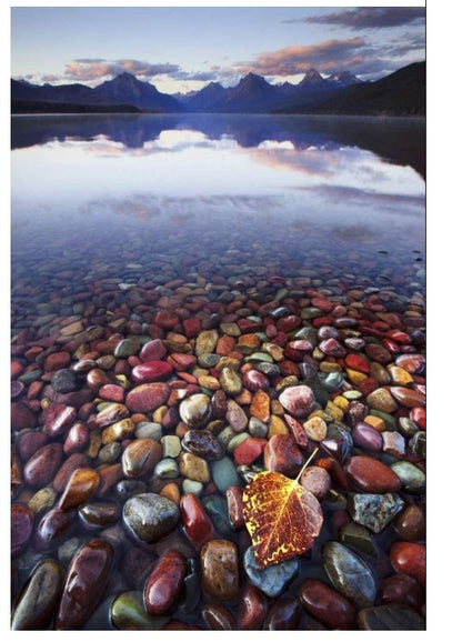 Les rives de la rivière - Peinture par numéros