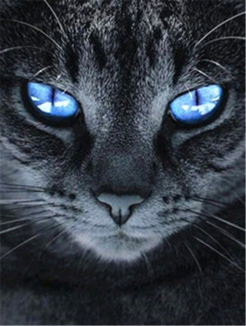 Chat Peinture par numéros