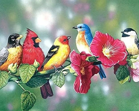 Bird Paint by Numbers