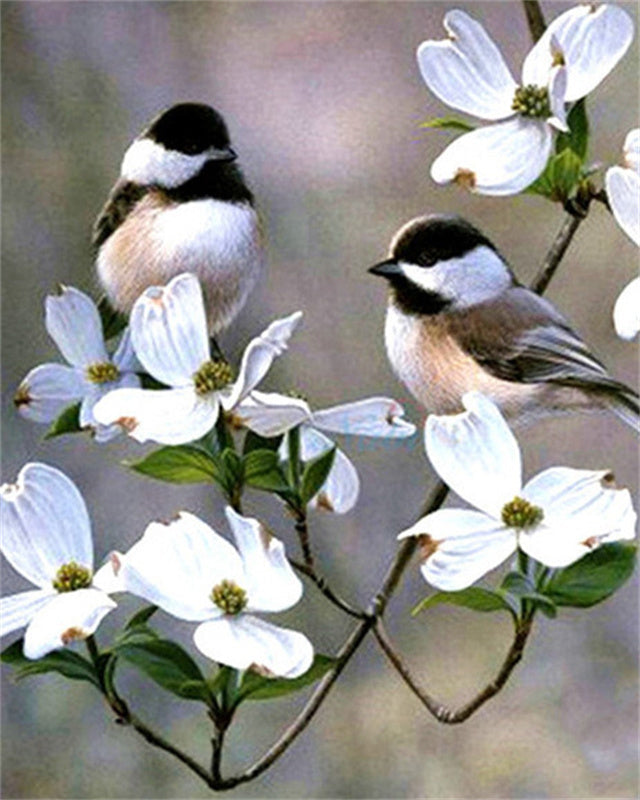 Flower Paint by Numbers