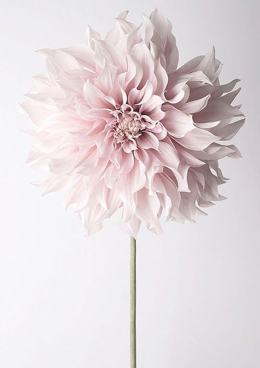 Fleurs Peinture par numéros