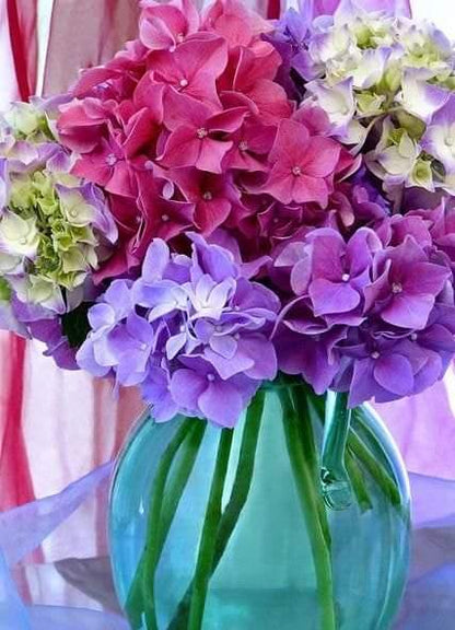 Flowers Paint by Numbers
