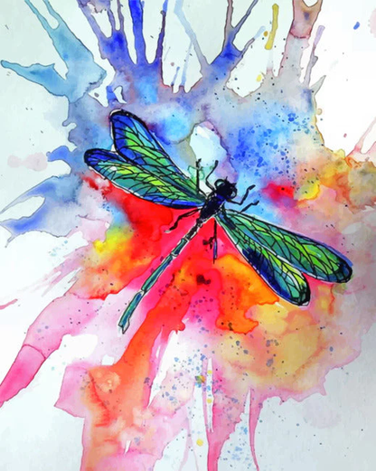 Dragonfly Oil Painting Paint by Numbers