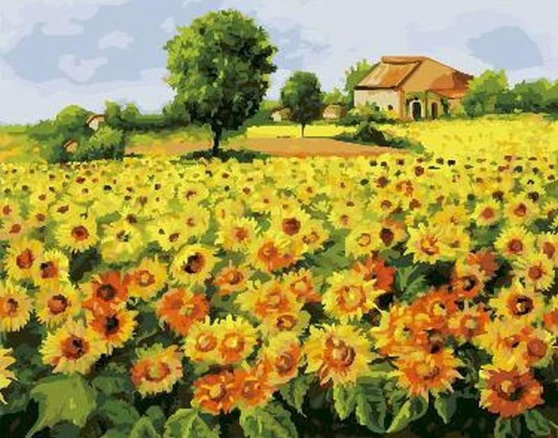 Champ de tournesols  Peinture par numéros
