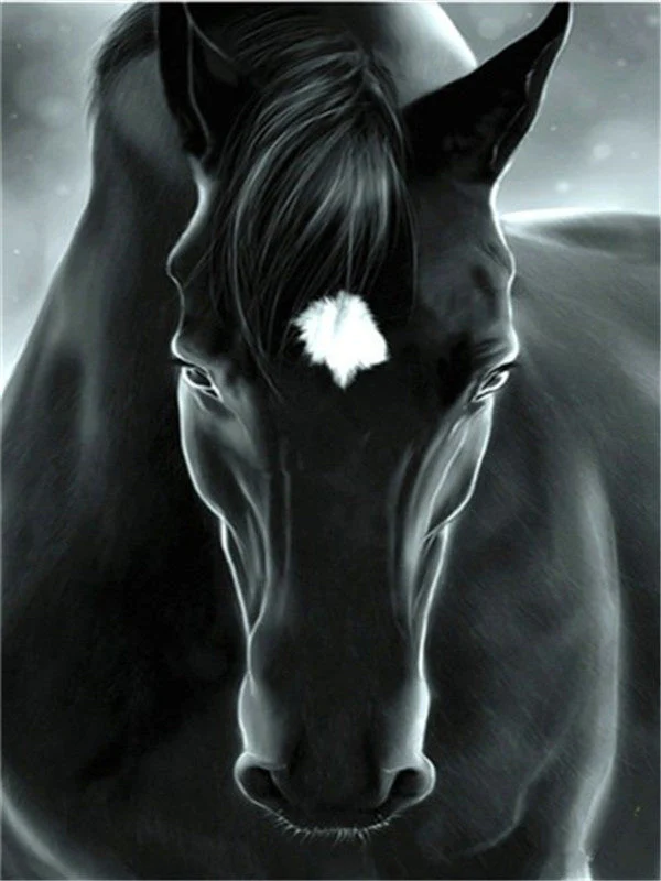 Chevaux  Peinture par numéros