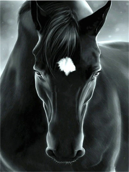 Chevaux  Peinture par numéros