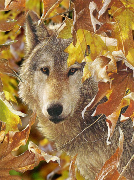 Peinture par numéros de chien-loup