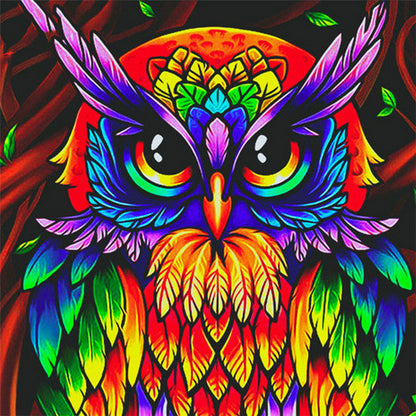 Hibou Peinture par Numéros