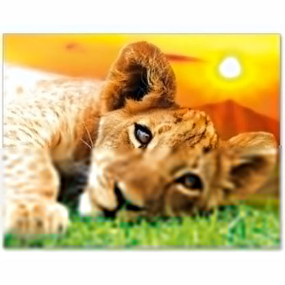 Peinture par numéros Lion