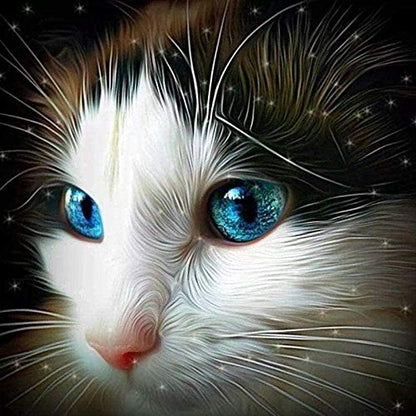 Cat Paint by Numbers