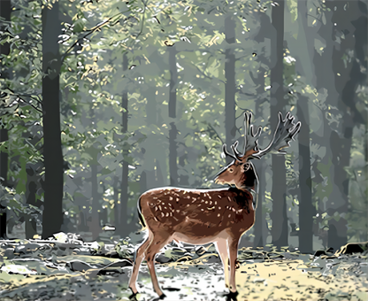 Sika cerf rouge  Peinture par numéros