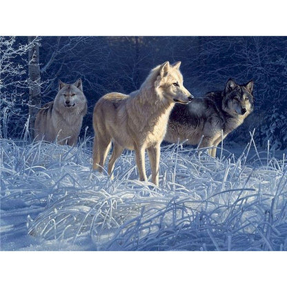 Meute de loups Peinture par numéros