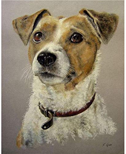 Chiot  Peinture par numéros