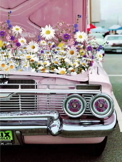 Car Paint by Numbers