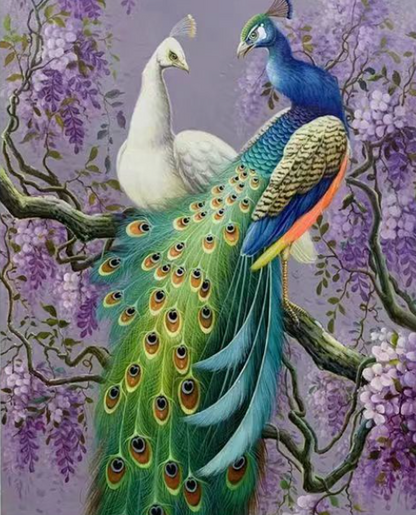 Hummingbird Paint by Numbers