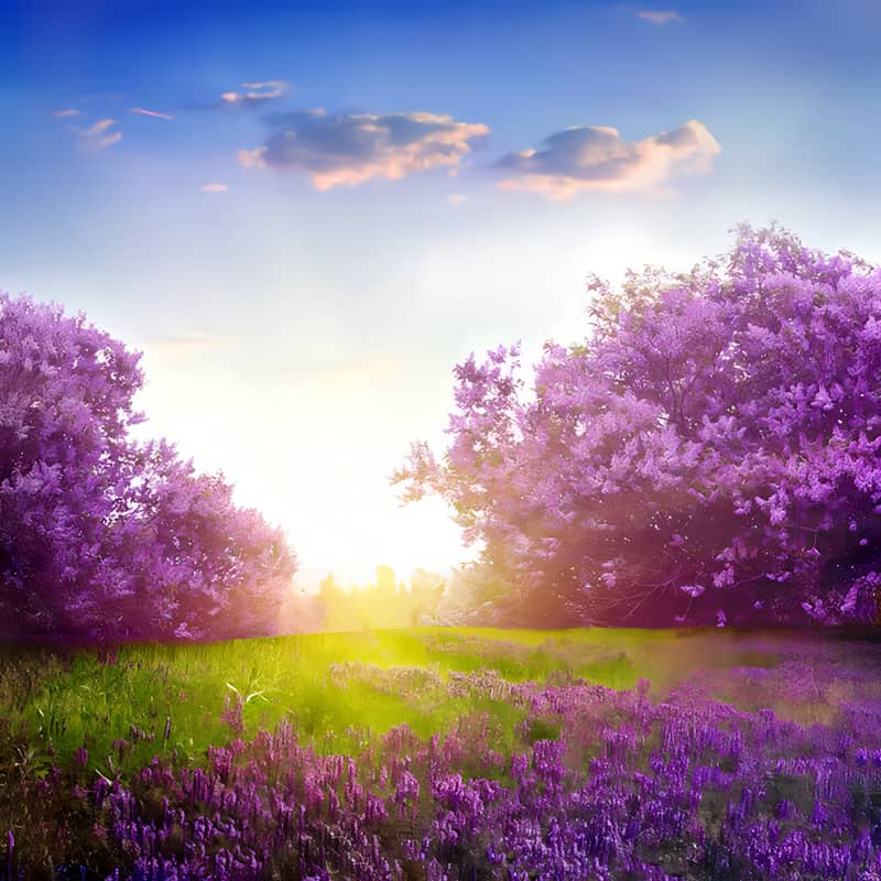 Peinture par numéros Océan violet