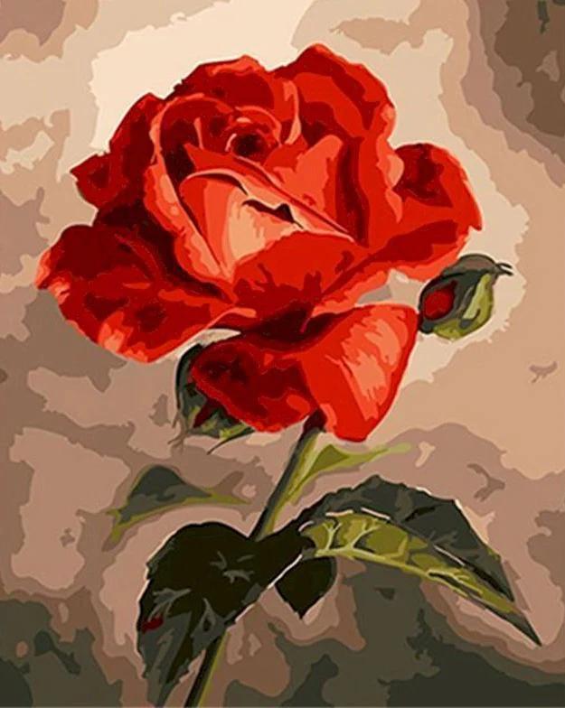 Flower Paint by Numbers