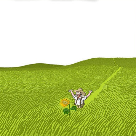 Wheat Field Paint by Numbers