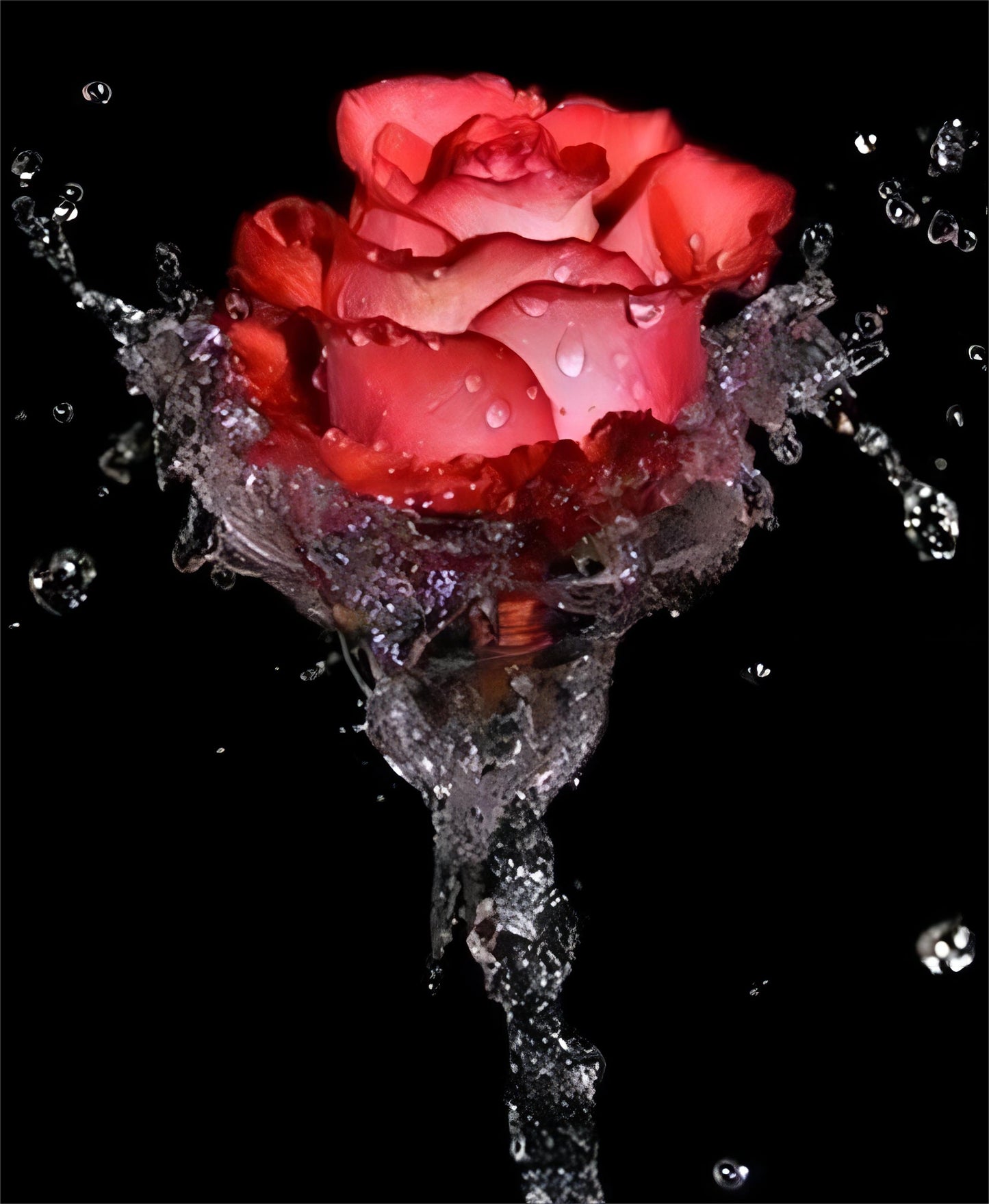 Peinture par numéros de fleurs