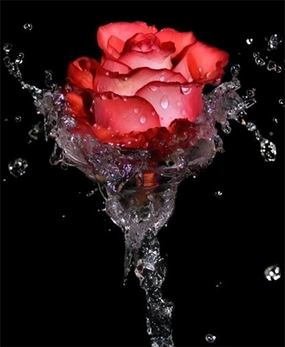 Peinture par numéros de fleurs