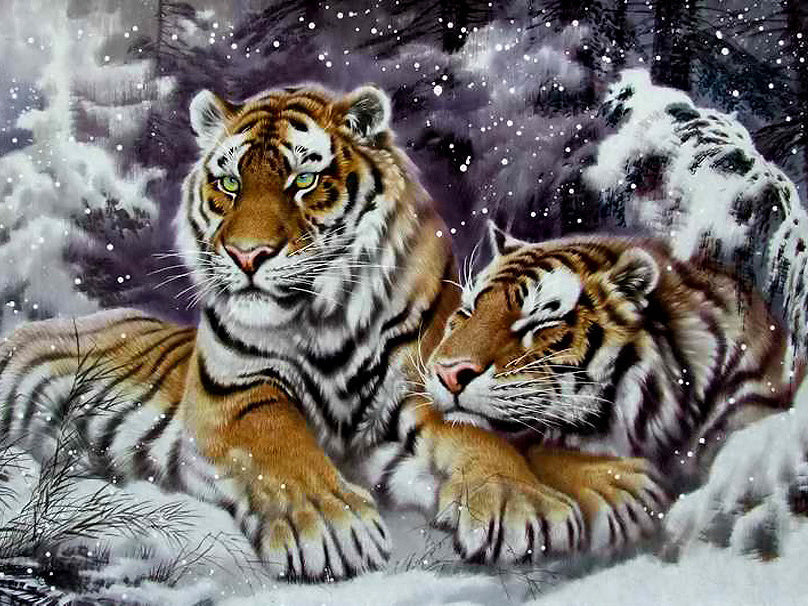 Tigre Peinture par numéros