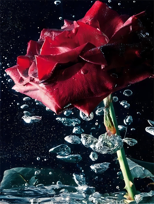 Peinture de fleurs par numéros