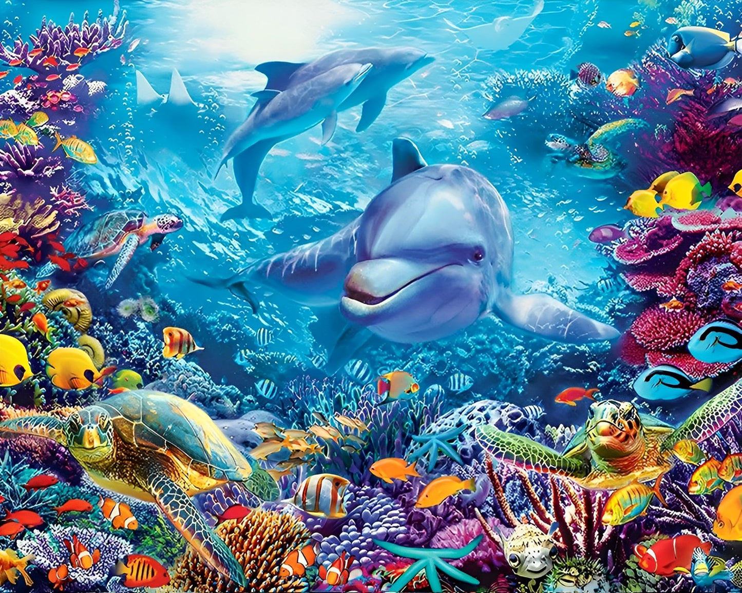 Nemo : La Peinture par Numéros