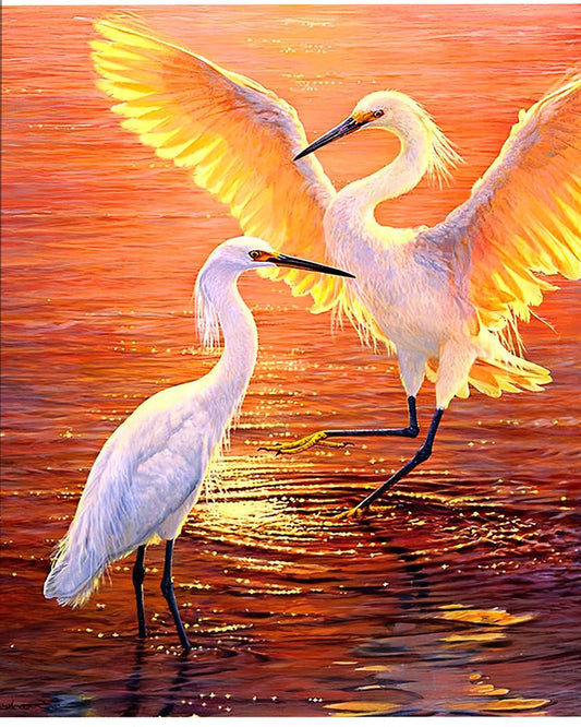 Crane Paint by Numbers