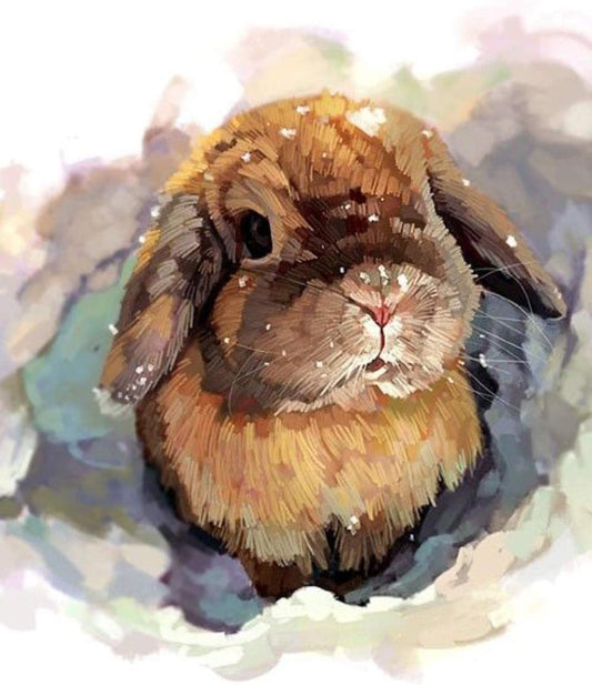 Rabbit Paint by Numbers