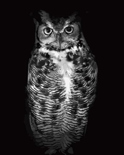 Owl Paint by Numbers