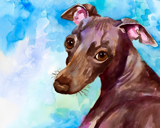 Paint by Numbers Dog