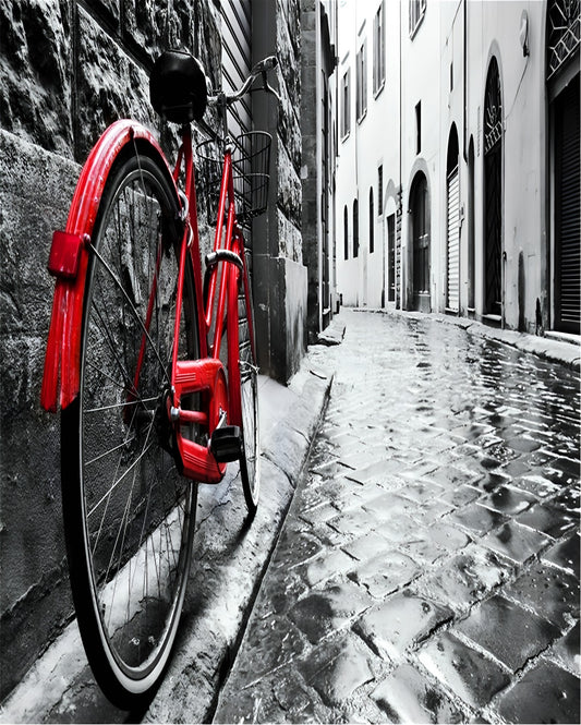 Bicycle Paint by Numbers