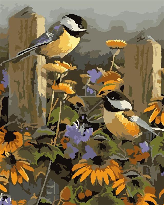 Bird Paint by Numbers
